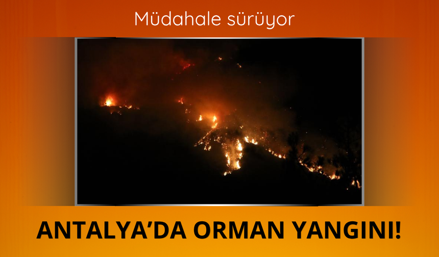 Antalya'da orman yangını sürüyor
