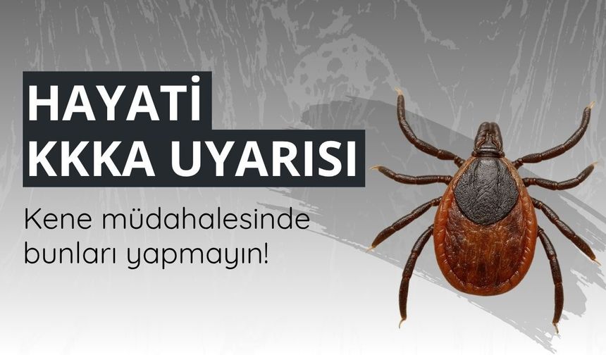 Hayati KKKA uyarısı: Kene müdahalesinde bunları yapmayın