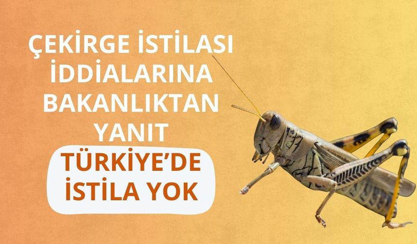 Çekirge istilası iddialarına Bakanlıktan yanıt: Türkiye’de istila yok