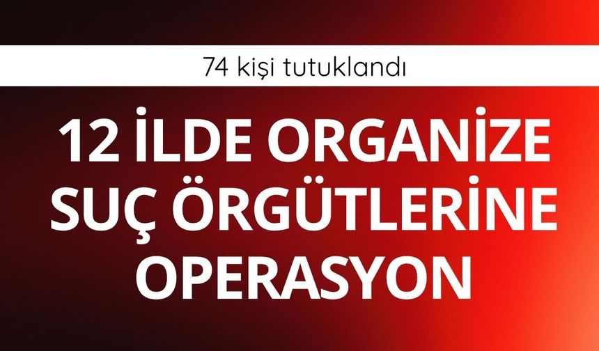 12 ilde organize suç örgütlerine operasyon: 74 kişi tutuklandı