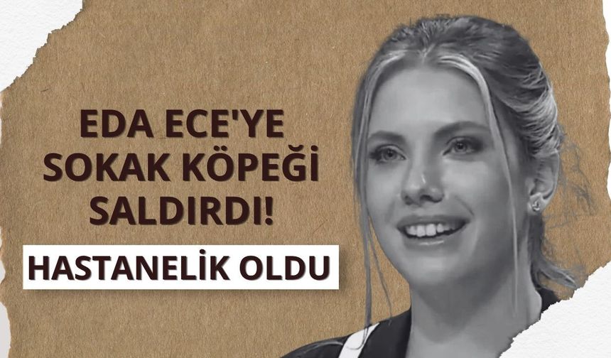 Eda Ece'ye sokak köpeği saldırdı! Hastanelik oldu