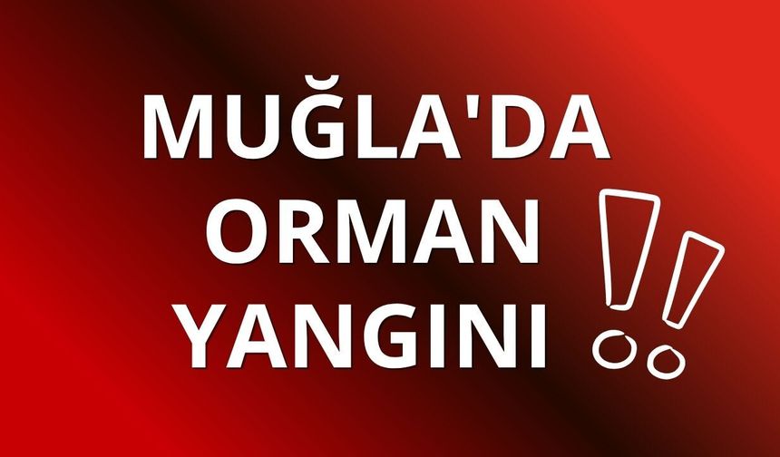 Muğla'da orman yangını