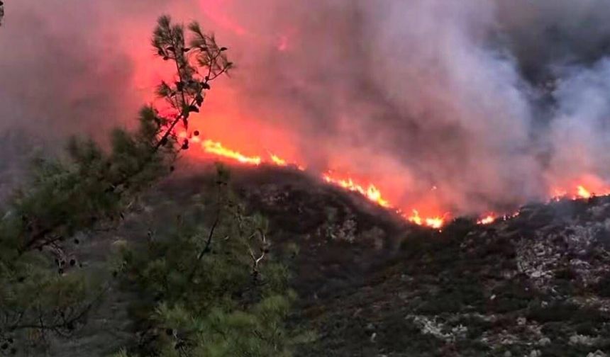 Kaş'ta orman yangınına havadan ve karadan müdahale