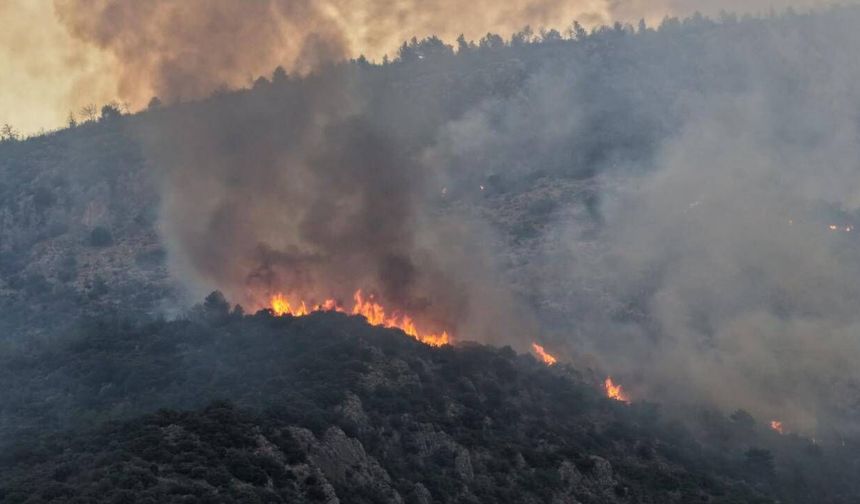 Antalya'da orman yangını sayısı yarı yarıya düştü