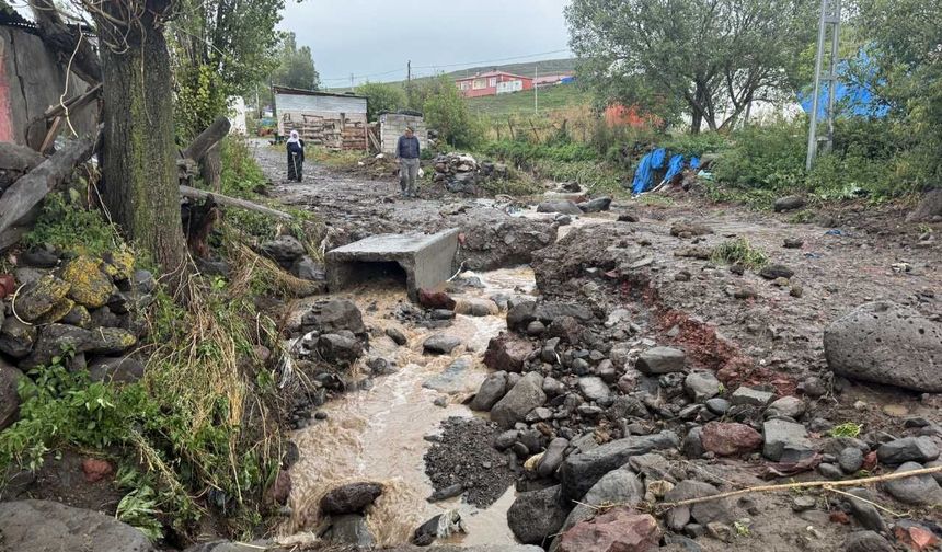 Ardahan'da sağanak ve dolu hasara neden oldu