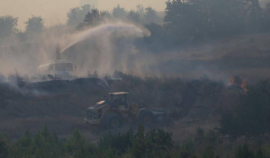 Çanakkale'de orman yangınlarında 541 bin 289 hektar alan zarar gördü