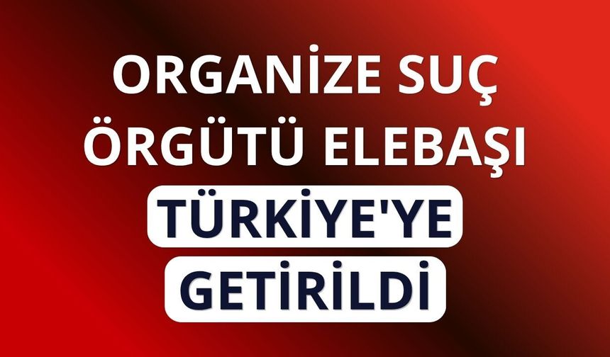 Organize suç örgütü elebaşı Serkan Kurtuluş Türkiye'ye getirildi