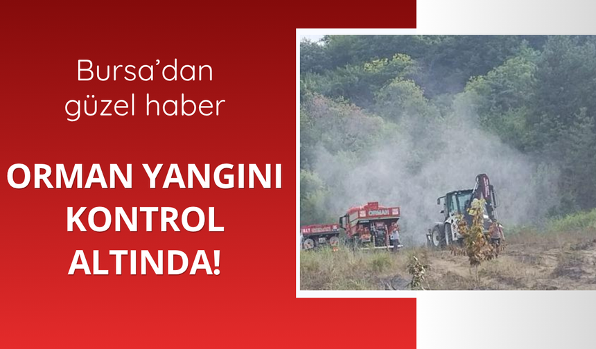 Bursa'dan güzel haber! Yangın kontrol altında