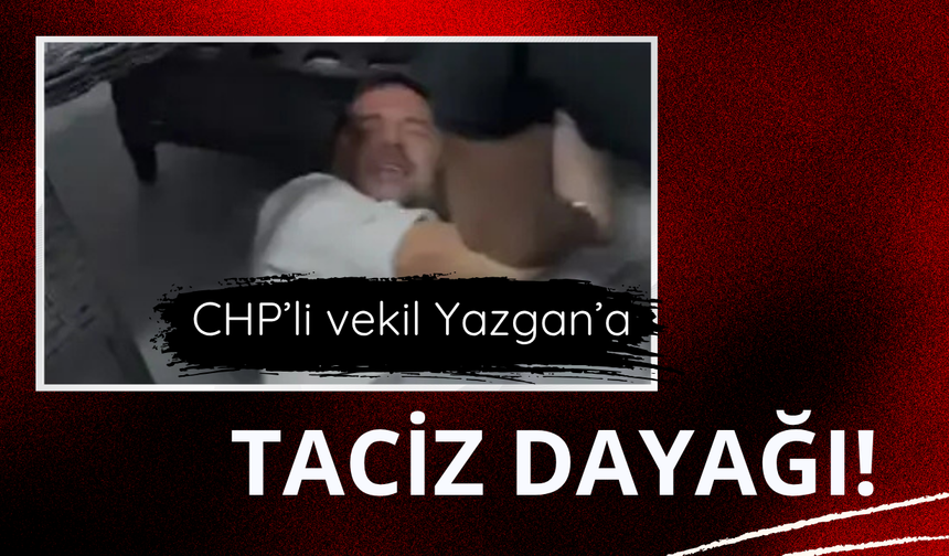CHP'li vekile taciz dayağı!