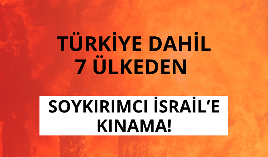 Türkiye ve 7 ülkeden İsrail'e kınama