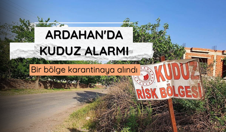 Ardahan'da kuduz alarmı: Bir bölge karantinaya alındı