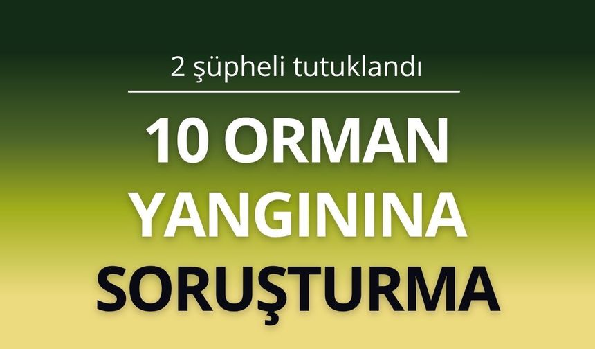 10 orman yangınına soruşturma: 2 şüpheli tutuklandı