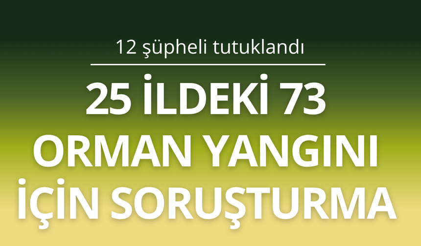 25 ildeki 73 orman yangını için soruşturma: 12 şüpheli tutuklandı