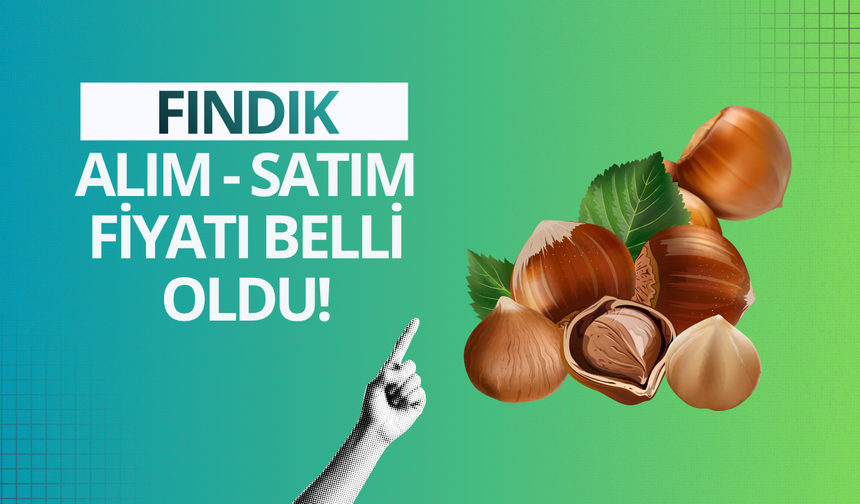 Fındık alım - satım fiyatı belli oldu!