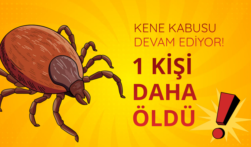 Kene sonrası hastaneye kaldırılan kadın yaşamını yitirdi