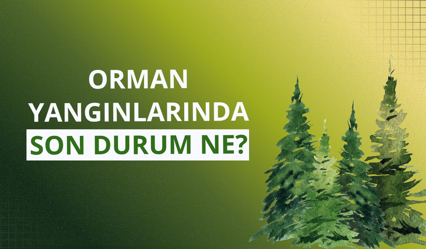 Orman yangınlarında son durum ne?