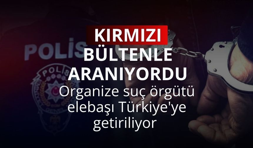 Kırmızı bültenle aranıyordu: Organize suç örgütü elebaşı Türkiye'ye getiriliyor