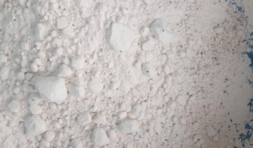 Bir iş yerinde 7,5 ton böceklenmiş un ele geçirildi