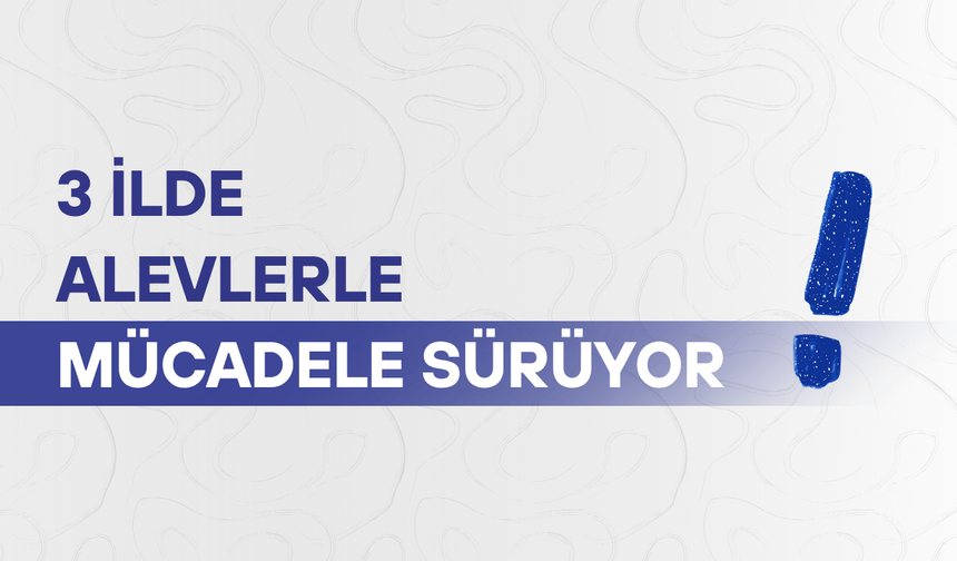 3 ilde alevlerle mücadele sürüyor
