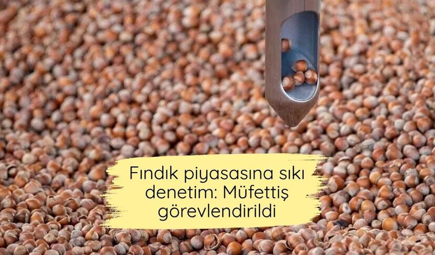 Fındık piyasasına sıkı denetim: Müfettiş görevlendirildi