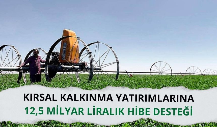 Kırsal kalkınma yatırımlarına 12,5 milyar liralık hibe desteği