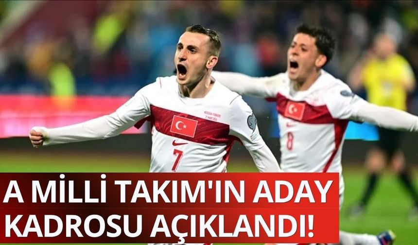 A Milli Takımımızın aday kadrosu açıklandı
