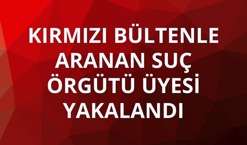 Kırmızı bültenle aranan suç örgütü üyesi yurda girerken yakalandı