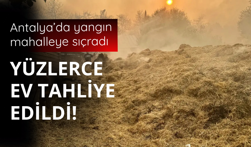 Antalya'daki yangın mahalleye sıçradı!