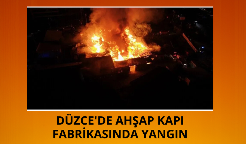 Düzce'de ahşap kapı fabrikasında yangın