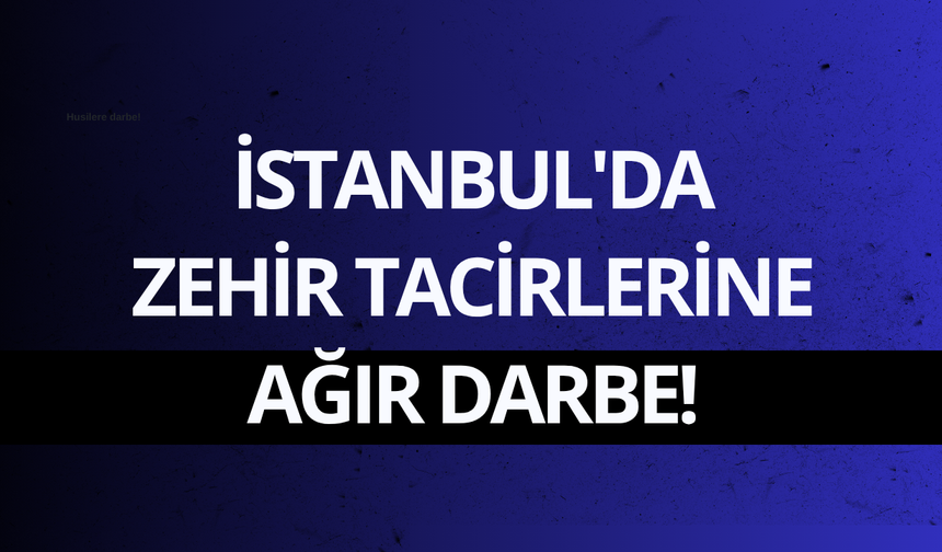 İstanbul'da 486 kiloluk uyuşturucu operasyonu