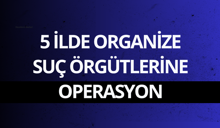 5 ilde organize suç örgütlerine operasyon: 53 gözaltı