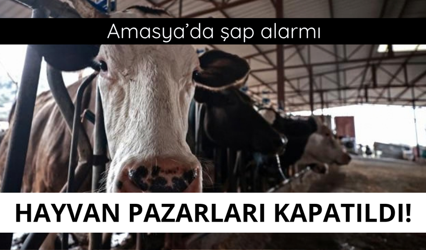 Amasya'da hayvan pazarları kapatıldı