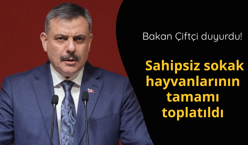 Bakan Çiftçi: Sahipsiz sokak hayvanlarının tamamını topladık