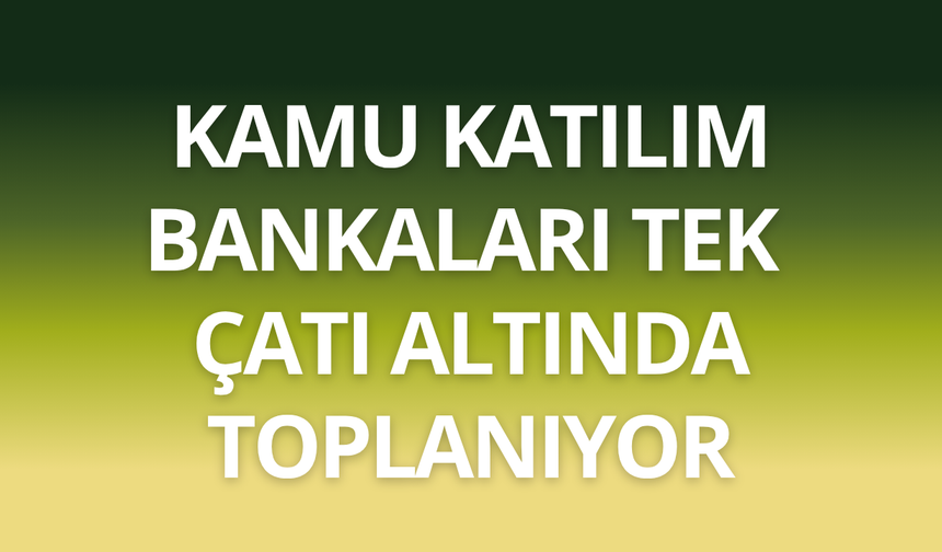 Kamu katılım bankaları tek çatı altında toplanıyor