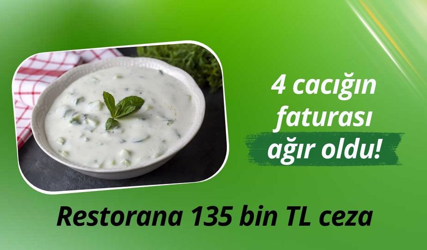 4 cacığın faturası ağır oldu! Restorana 135 bin TL ceza
