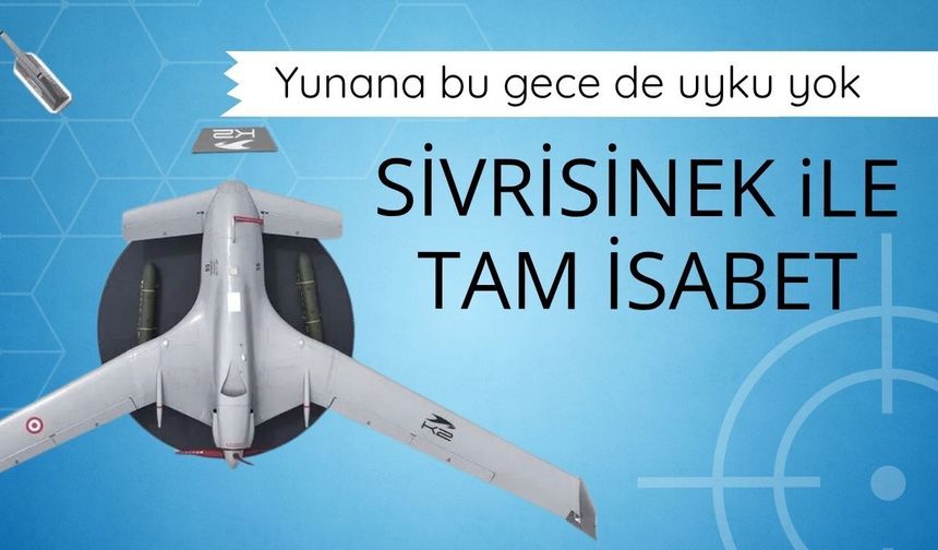 SİVRİSİNEK'lerden tam isabetli operasyon