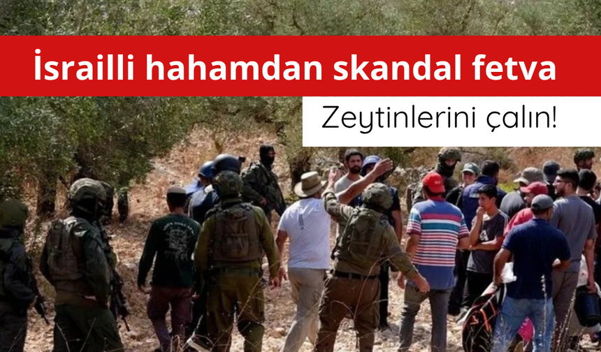 İsrailli hahamdan skandal fetva: Zeytinlerini çalın!