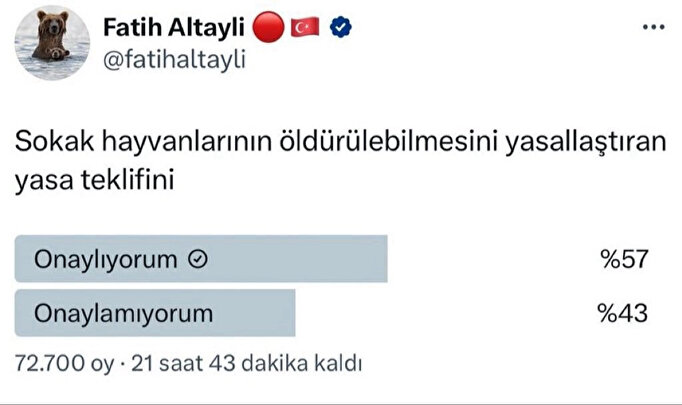 1757d151-zczuf6t8y3srtaktnldz6i_c0e3f074c8c078c2e1d84647c948c7f5.jpeg