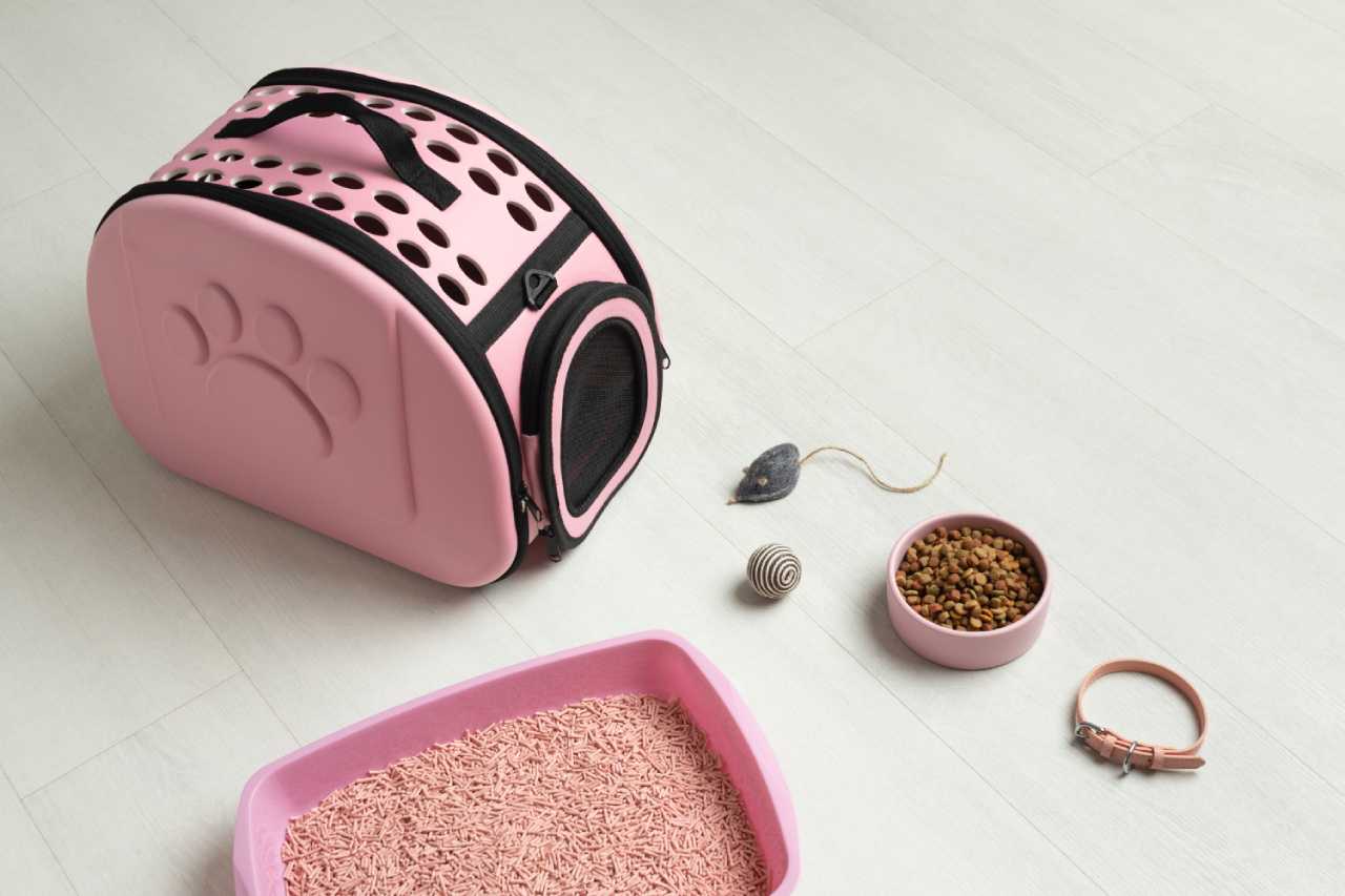 En Gerekli Kedi Ürünleri (1)