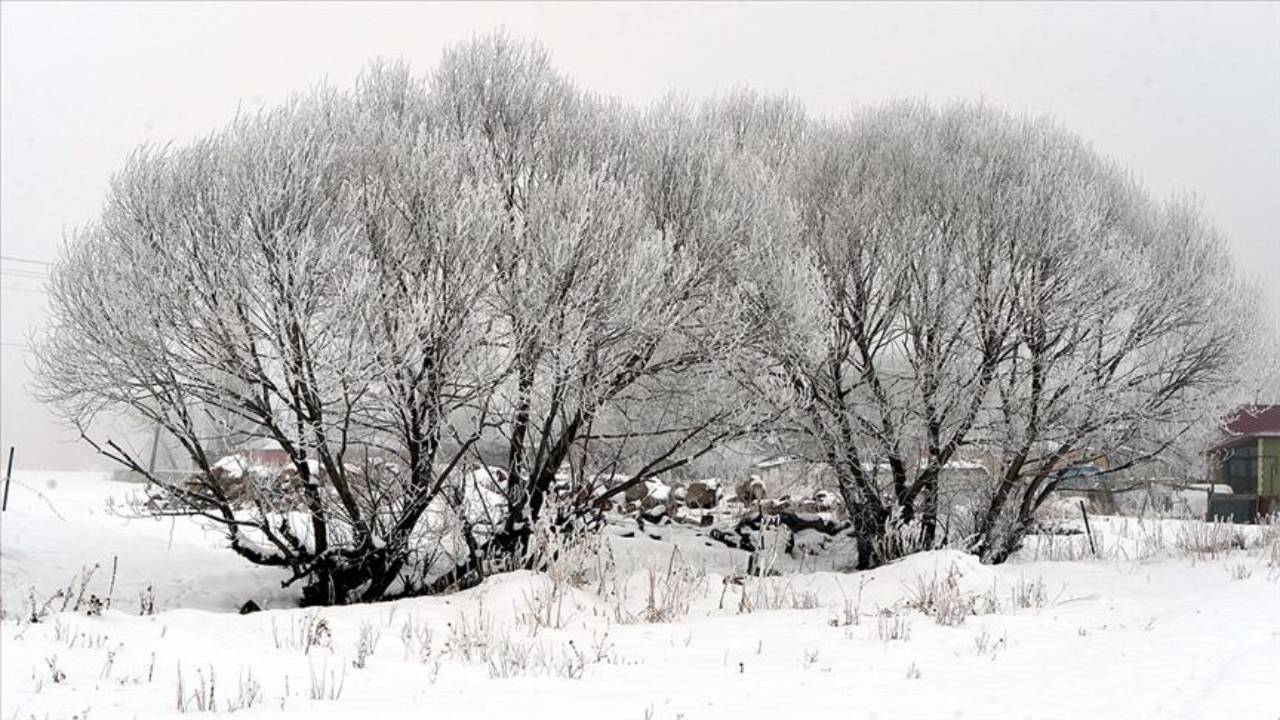 Ardahan'da termometreler -18,5 dereceyi gösterdi