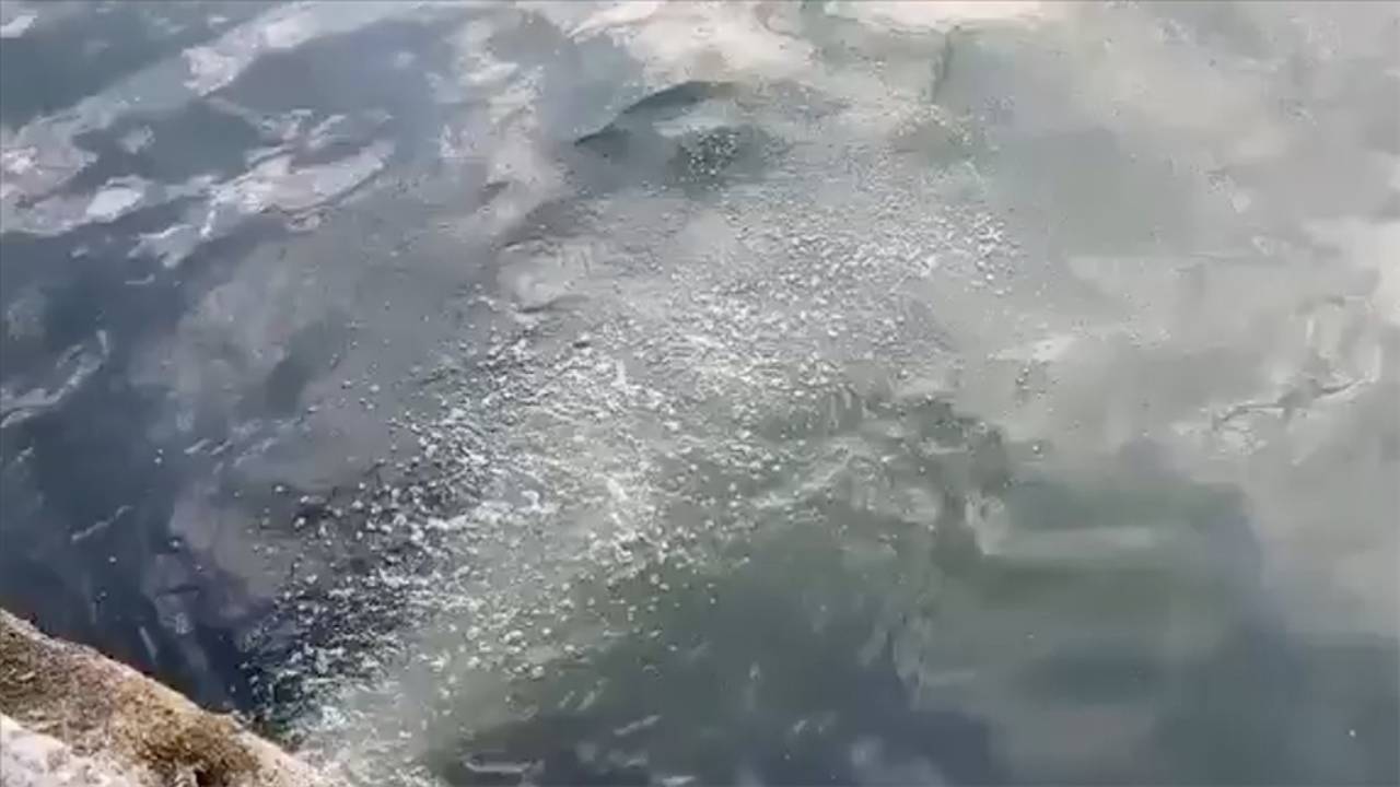 Marmara Denizi'nde ileri atık su arıtma tesislerine yönelik denetimler artıyor