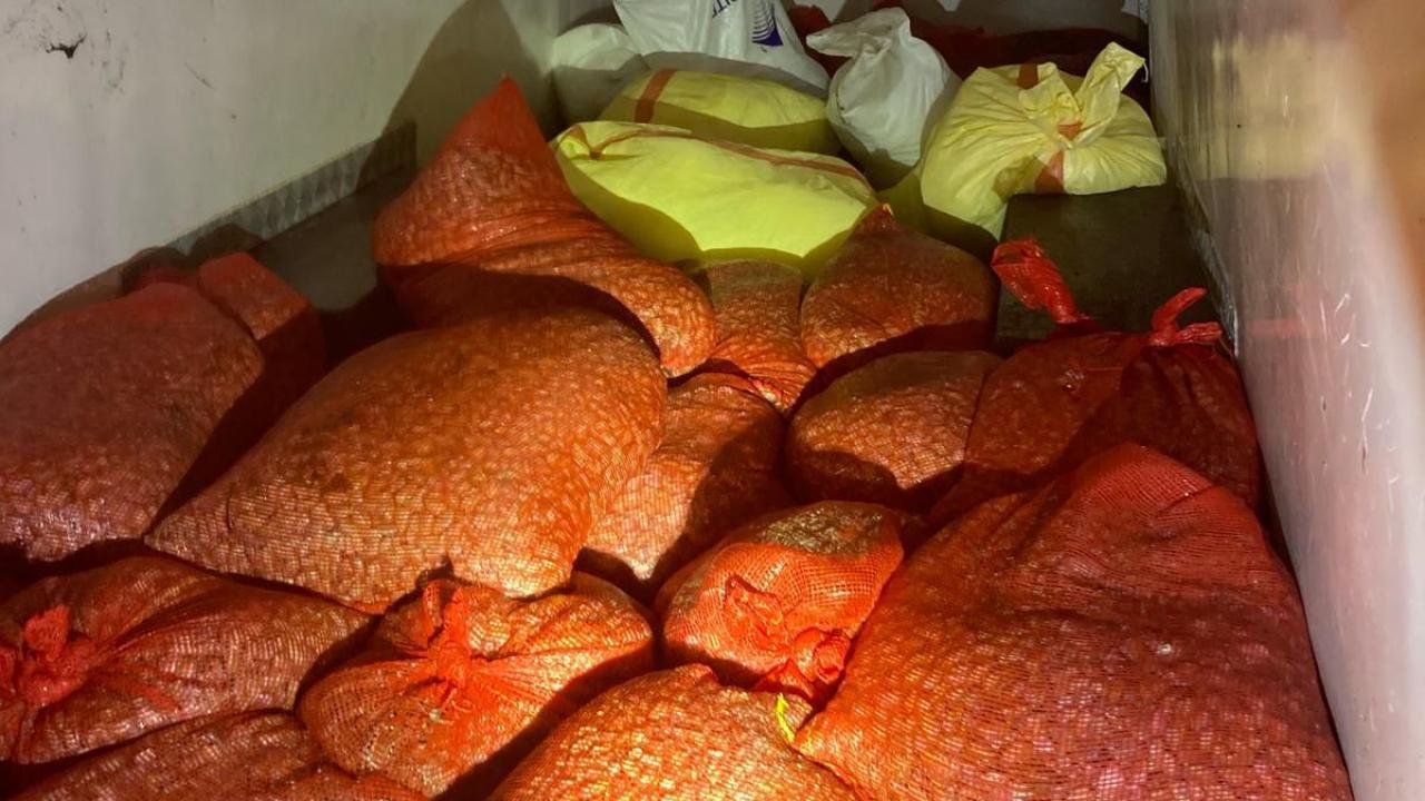 Samsun'da kaçak midye avına 37 bin lira ceza
