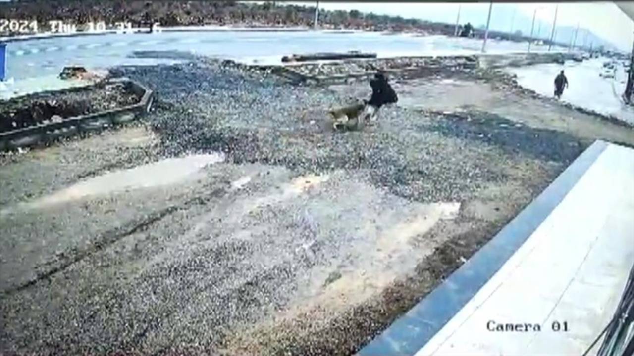Gaziantep'te sahipsiz köpek saldırısı güvenlik kamerasında