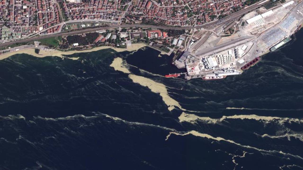 Müsilaj Marmara'ya geri döndü