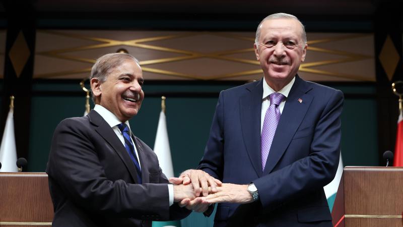 Cumhurbaşkanı Erdoğan, Pakistan Başbakanı Şahbaz Şerif'i kabul etti
