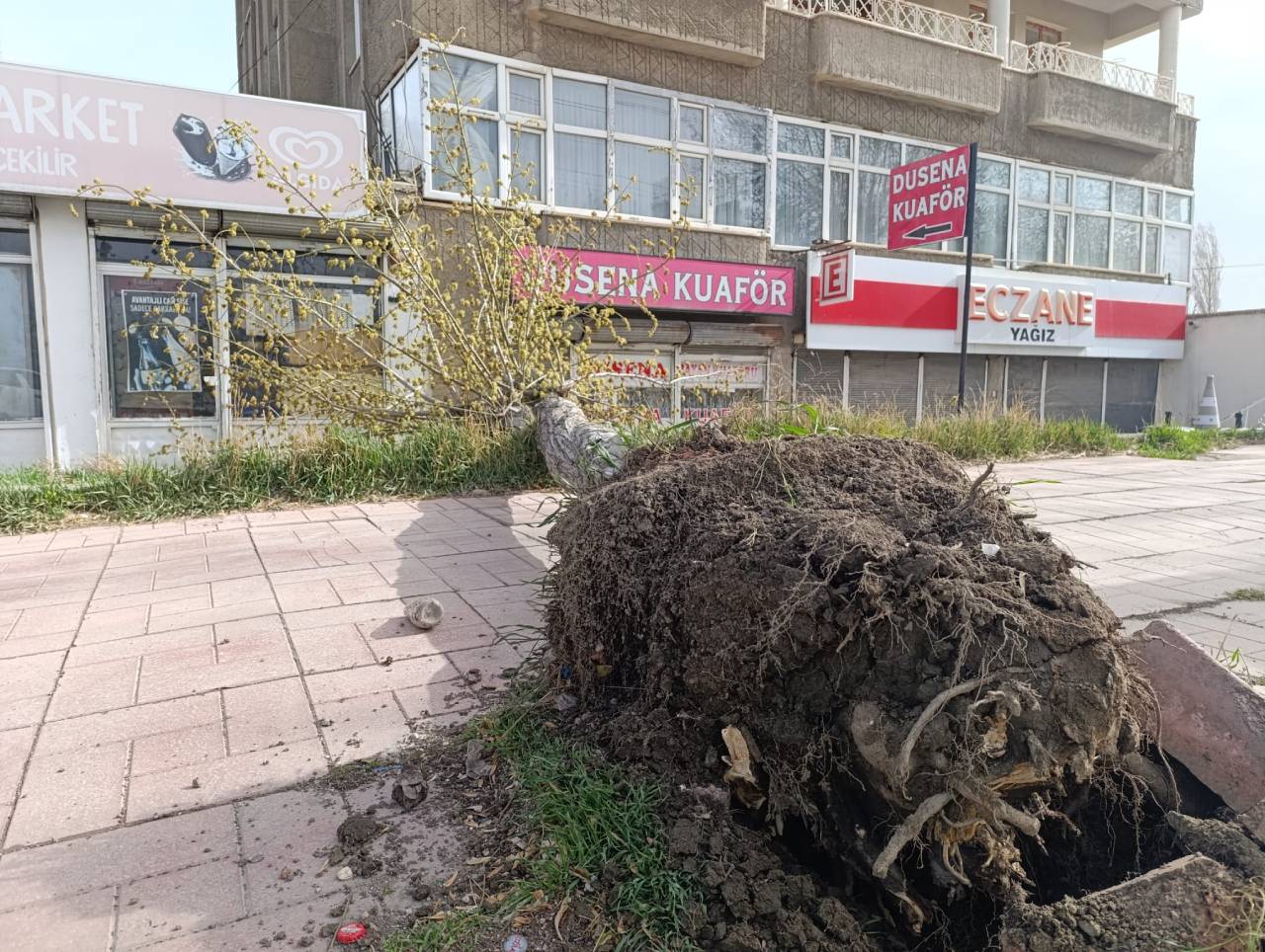 Van’da şiddetli fırtına hayatı felç etti: Ağaçlar söküldü, elektrikler kesildi