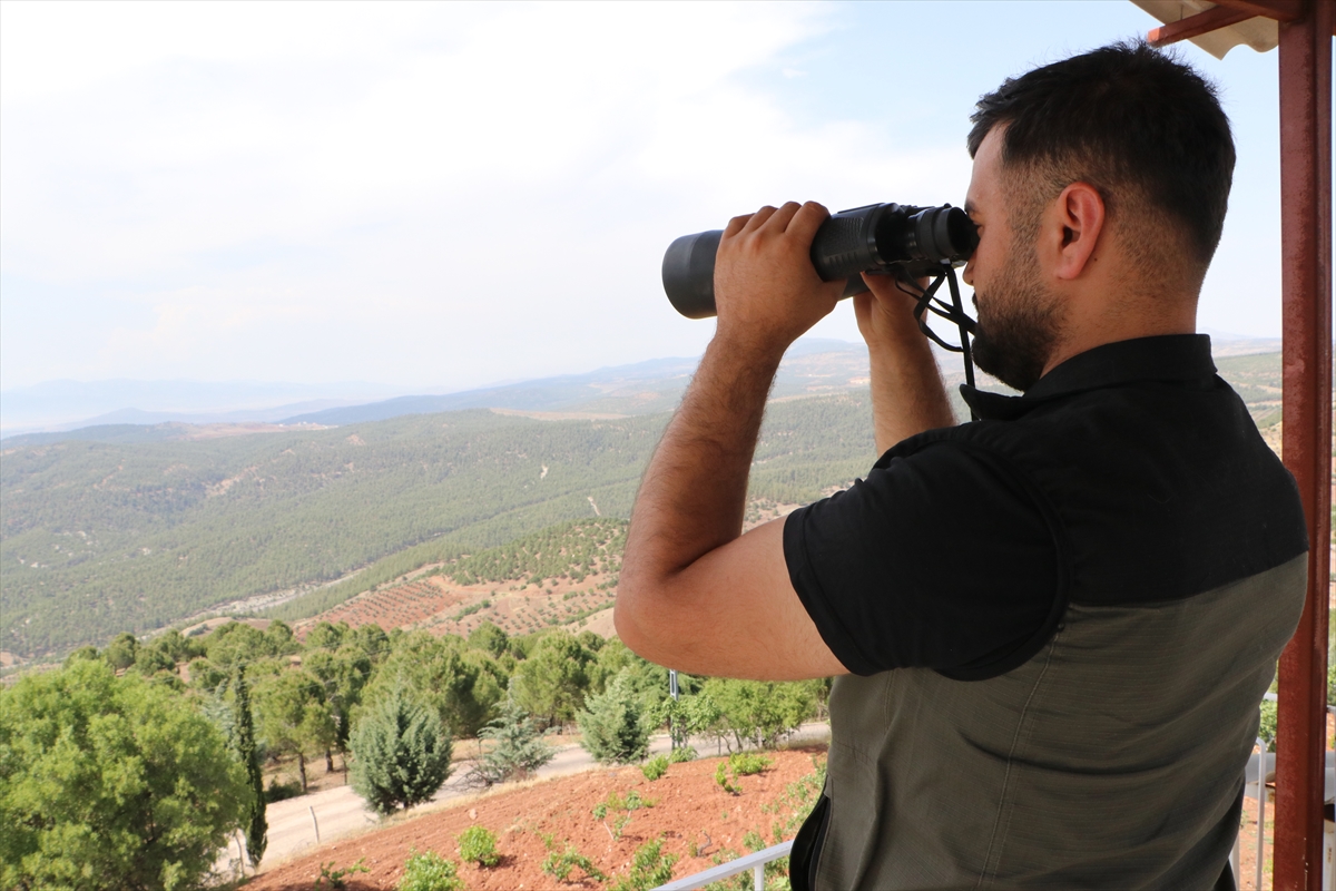 Kilis'te orman yangınlarına karşı karadan ve havadan denetim yapılıyor