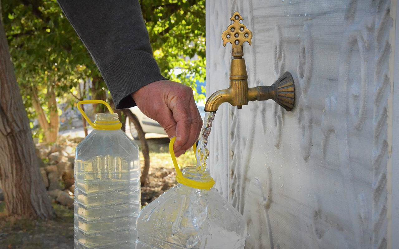 Arsenik Zehirlenmesi