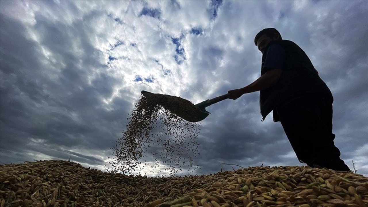 Çiftçilere destek ödemesi