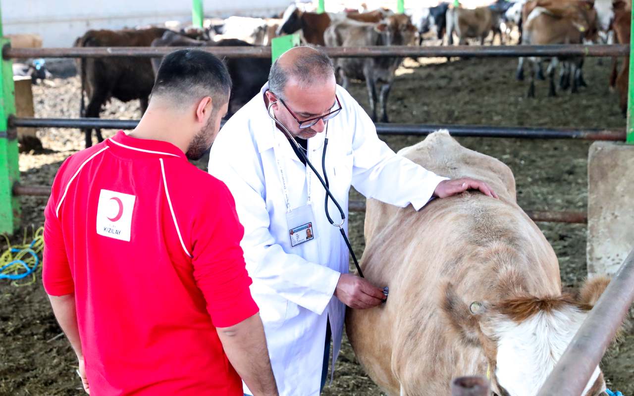 Kızılay Kurban-1